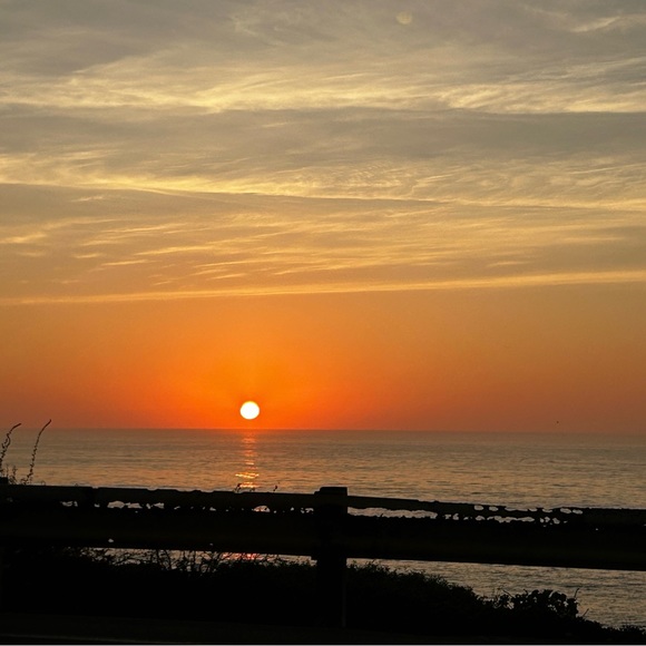 surfcitysellout
